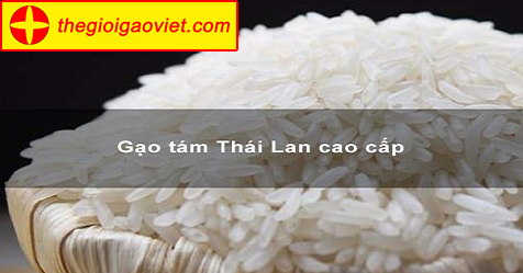 Gạo thơm Thái Lan và những kiến thức cần biết