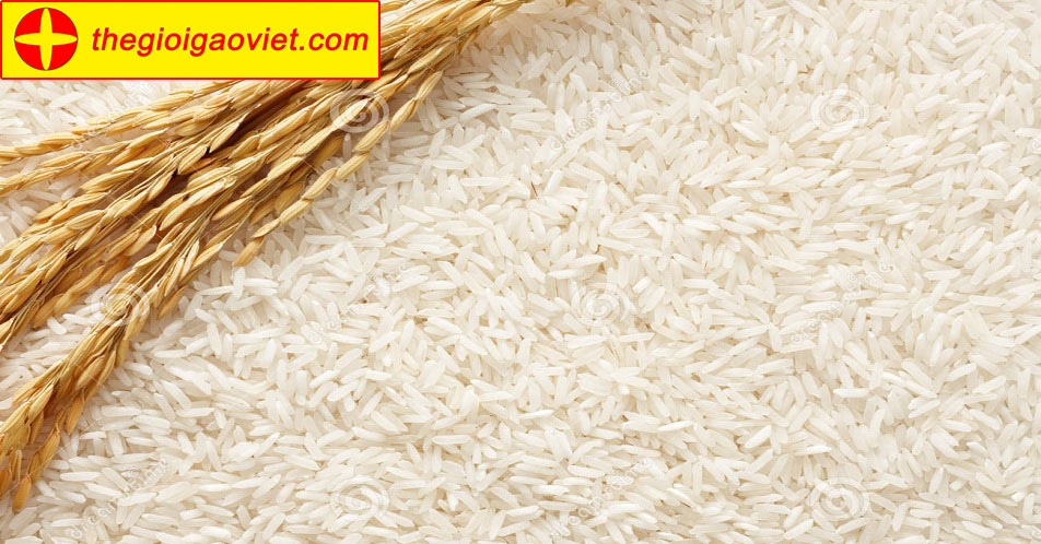 Vì sao nên lựa chọn gạo sạch cho gia đình