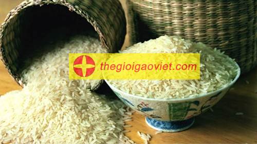 gạo ngon nhất