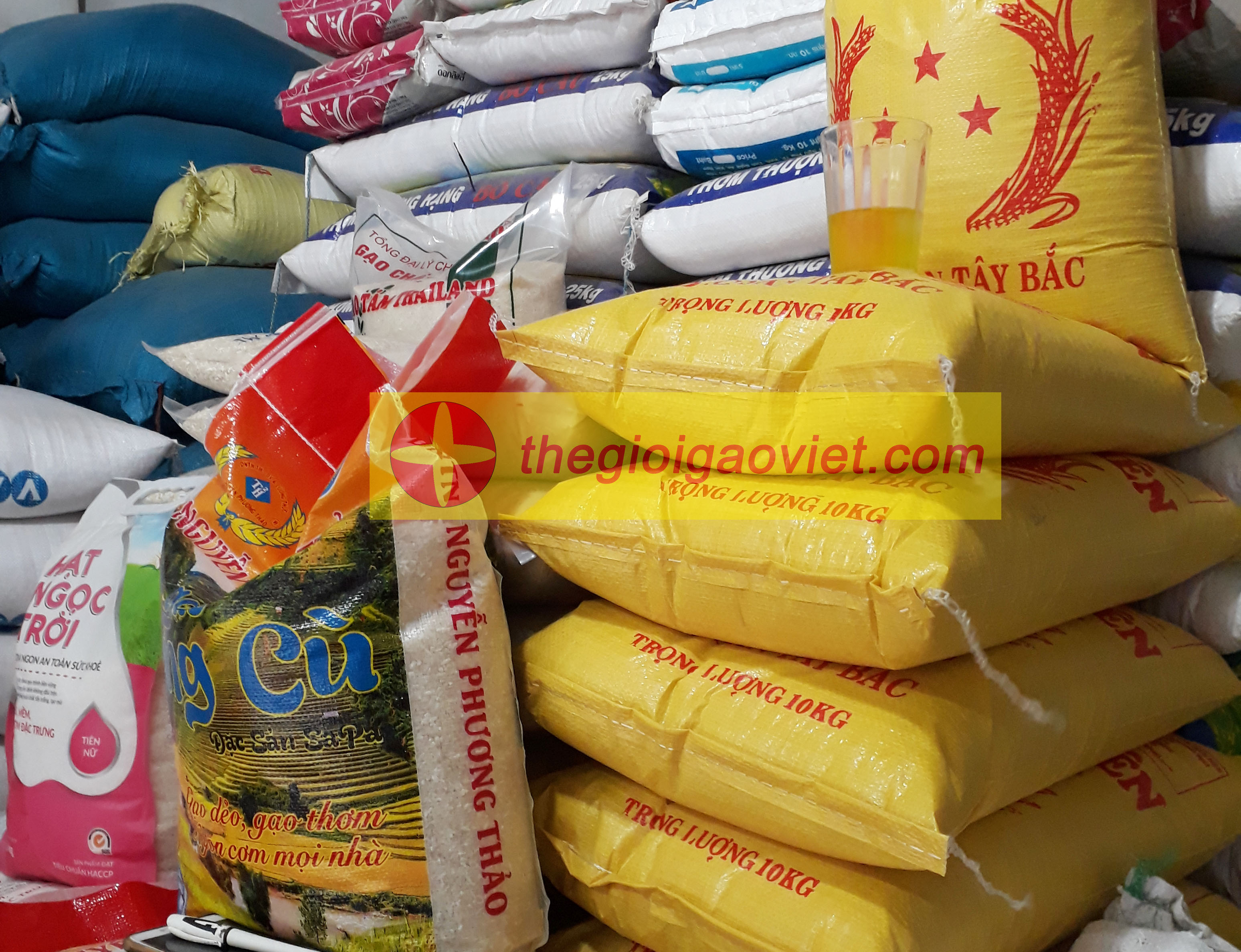đại lý bán gạo séng cù