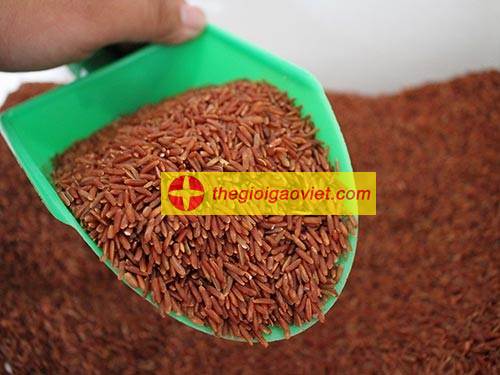 Khám Phá Thành Phần Dinh Dưỡng Gạo Trắng - Nguồn Cung Cấp Năng Lượng Quan Trọng