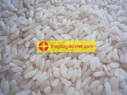 gạo tám hải hậu
