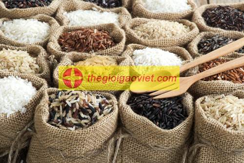 gạo ngon giá rẻ