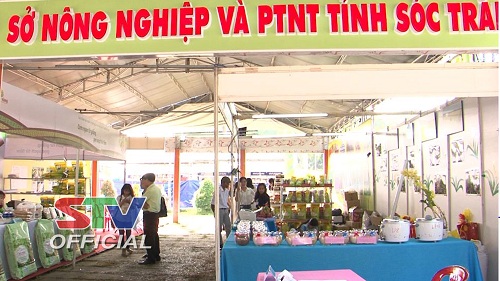 hội thi gạo ngon