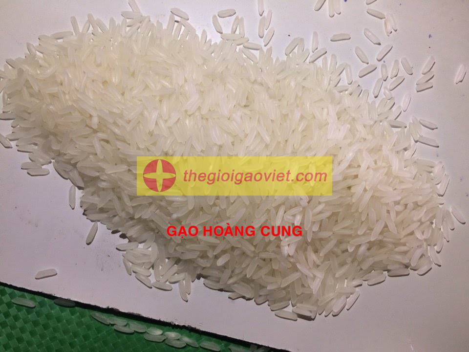gạo Hoàng Cung