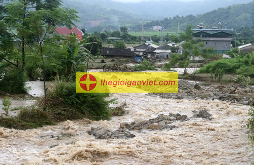 Hình ảnh hoang tàn sau cơn lũ