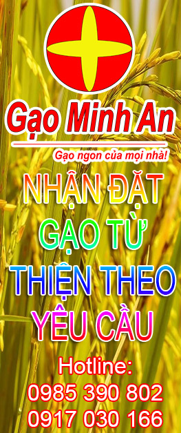 Thế Giới Gạo Việt (thegioigaoviet.com)