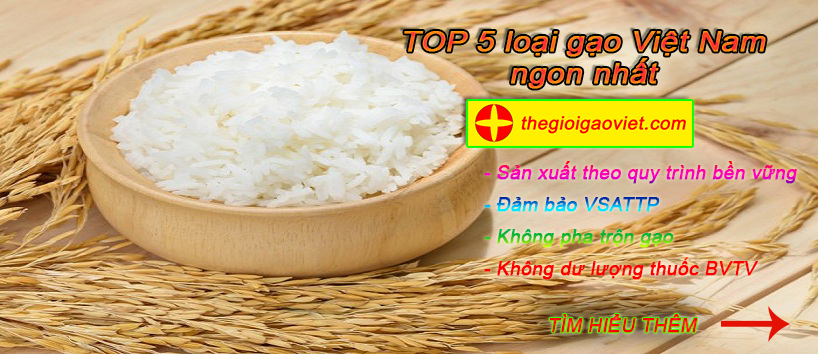 Gạo Minh An