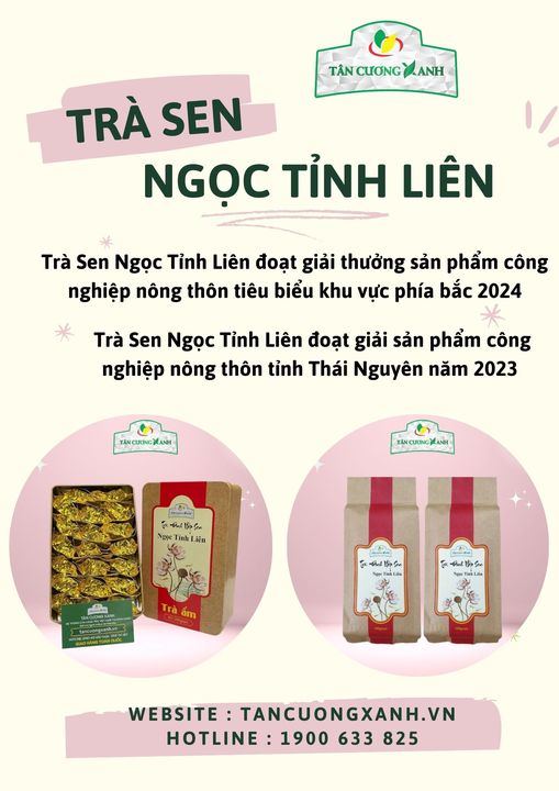 Trà sen có tác dụng gì? Những lợi ích sức khỏe tuyệt vời có thể bạn chưa biết