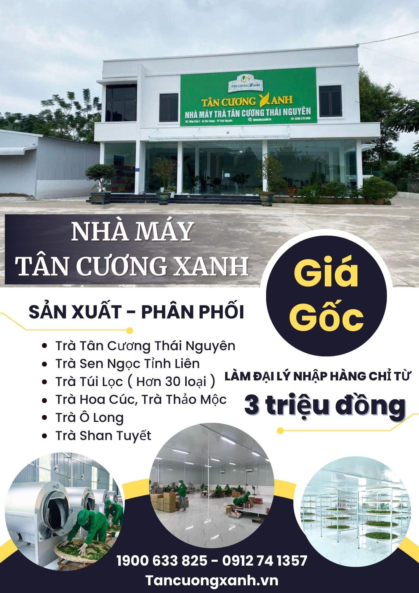 Top 3 trà Thái Nguyên đắt nhất sở hữu hương vị thơm ngon mê ly
