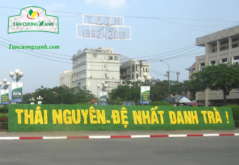 Bảng Giá Trà Đinh Ngọc