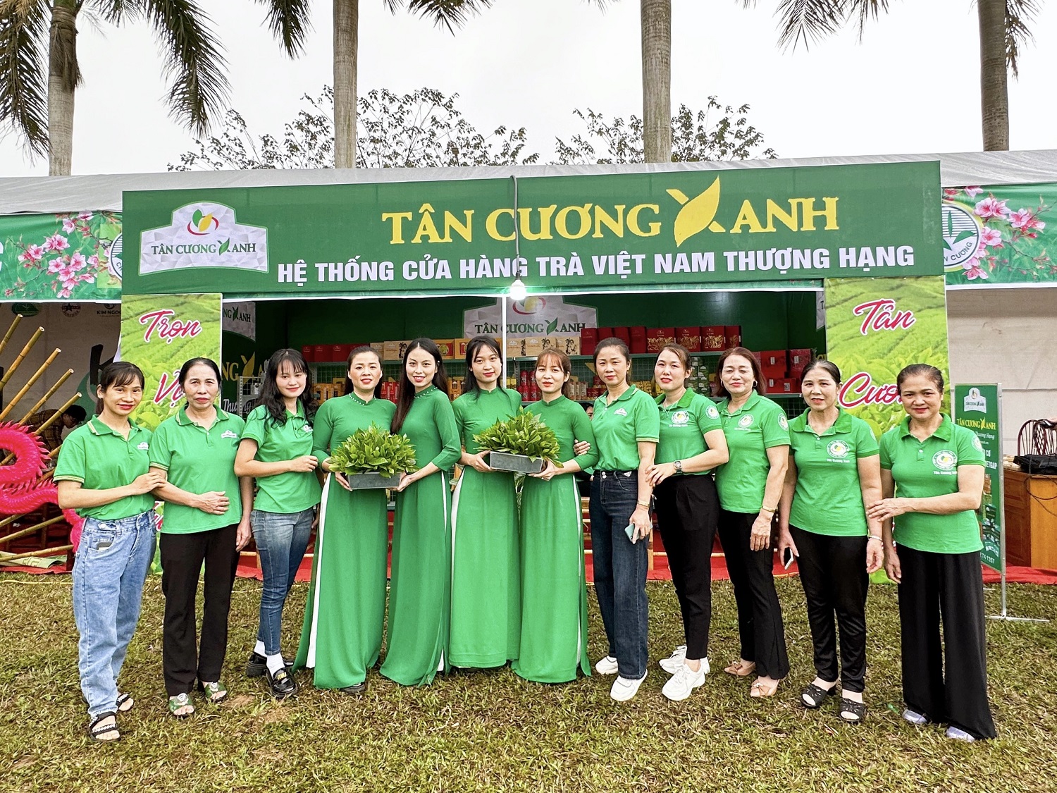 Bí Quyết Chăm Sóc Vườn Trà Thái Nguyên Hữu Cơ