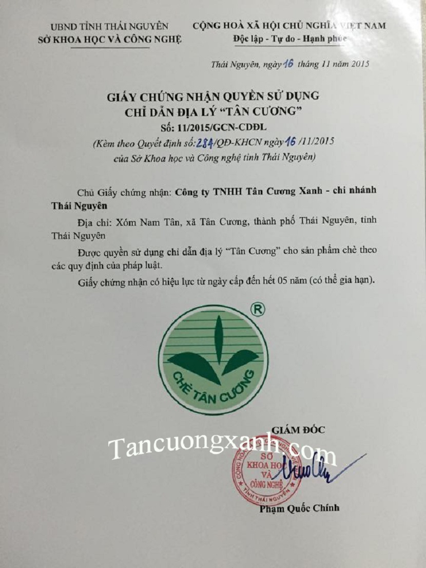 Trà Tân Cương Thái Nguyên Chính Hiệu