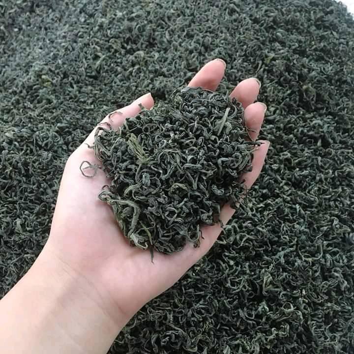 Tổng hợp các loại chè Thái Nguyên 