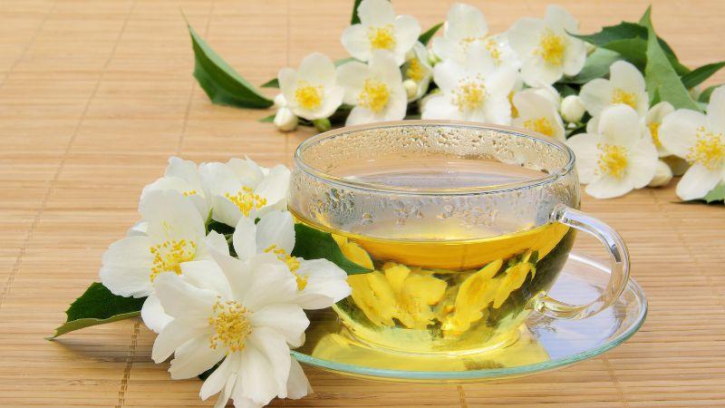 Nguyên liệu – Công thức – Lưu ý để tự làm trà nhài tại nhà thơm – ngon – chuẩn vị