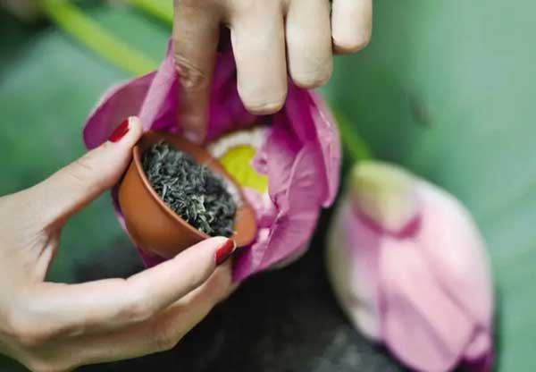 Những mẹo pha trà sen Tây Hồ ngon như nghệ nhân