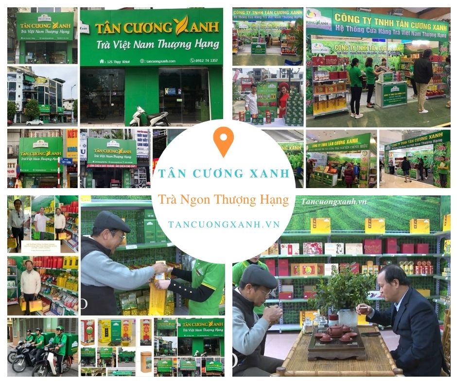 Thành tích đạt được của hệ thống chè thái nguyên ngon Tân Cương Xanh