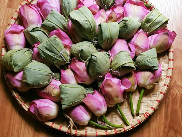Nước trà sen đẹp nổi tiếng giữa các dòng trà – Điều gì tạo nên màu nước đẹp của trà ướp bông sen?