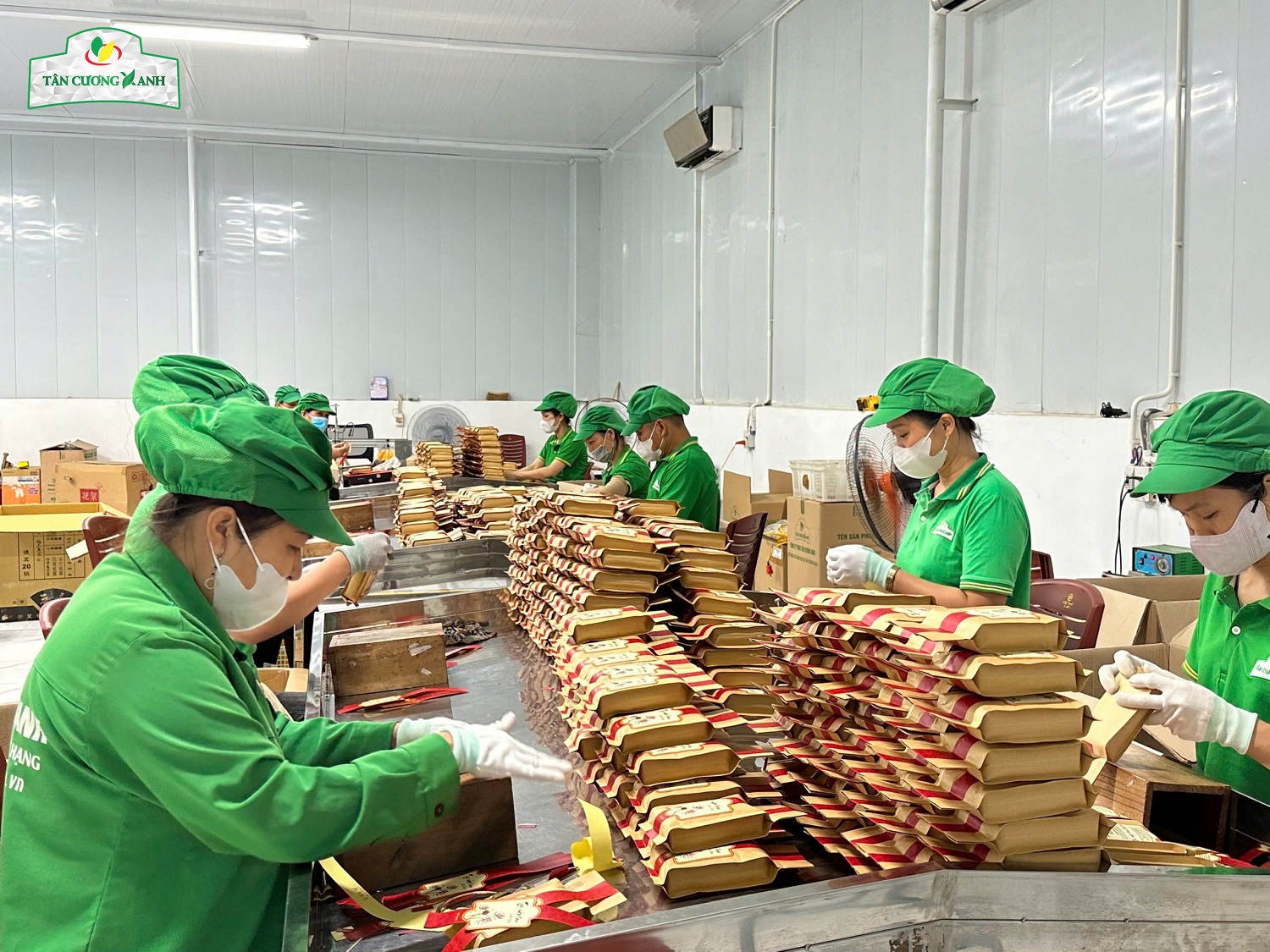 Phòng Đóng Gói Trà Thái Nguyên Tại Nhà Máy Tân Cương Xanh - Nơi Hội Tụ Tiêu Chuẩn Vàng Về An Toàn Thực Phẩm