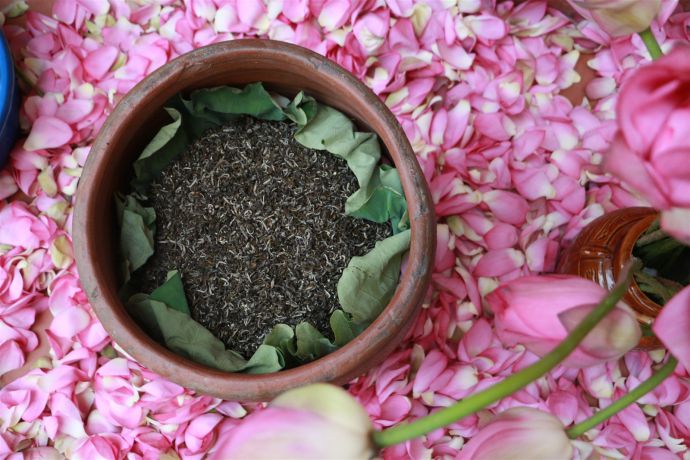 Phụ nữ mang thai có nên sử dụng trà sen? Những lưu ý cần biết khi sử dụng trà sen cho bà bầu