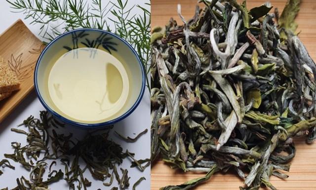 Polyphenol trong trà Shan Tuyết: hoạt chất quý hỗ trợ sức khỏe tim mạch ra sao?