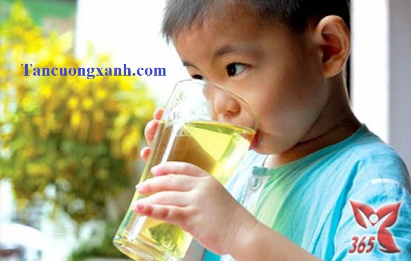 Tác Dụng Của Chè Thái Nguyên Và Tỏi Đen