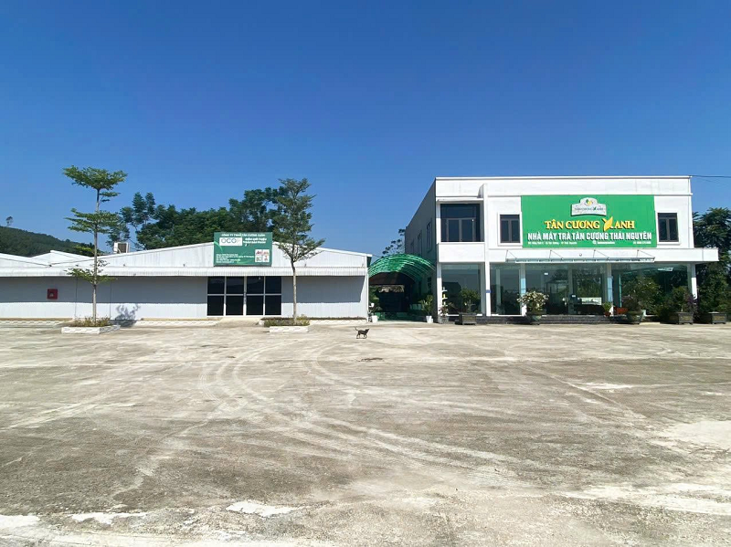 Tân Cương Xanh có bao nhiêu chi nhánh - Điều gì khiến nhiều khách hàng gắn bó lâu năm cùng Tân Cương Xanh?