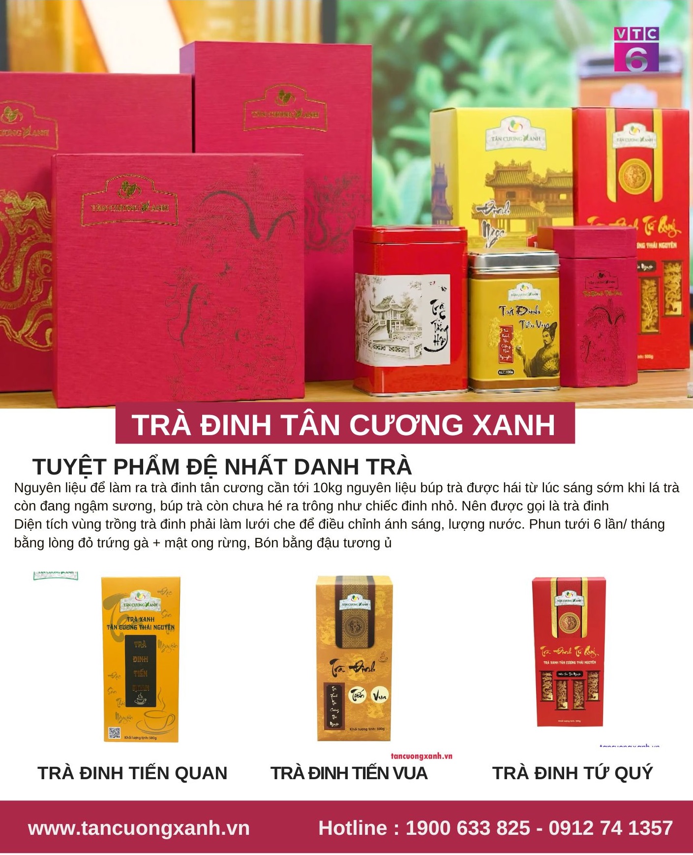 Trà Móc Câu Thái Nguyên - Tinh Hoa Trà Việt