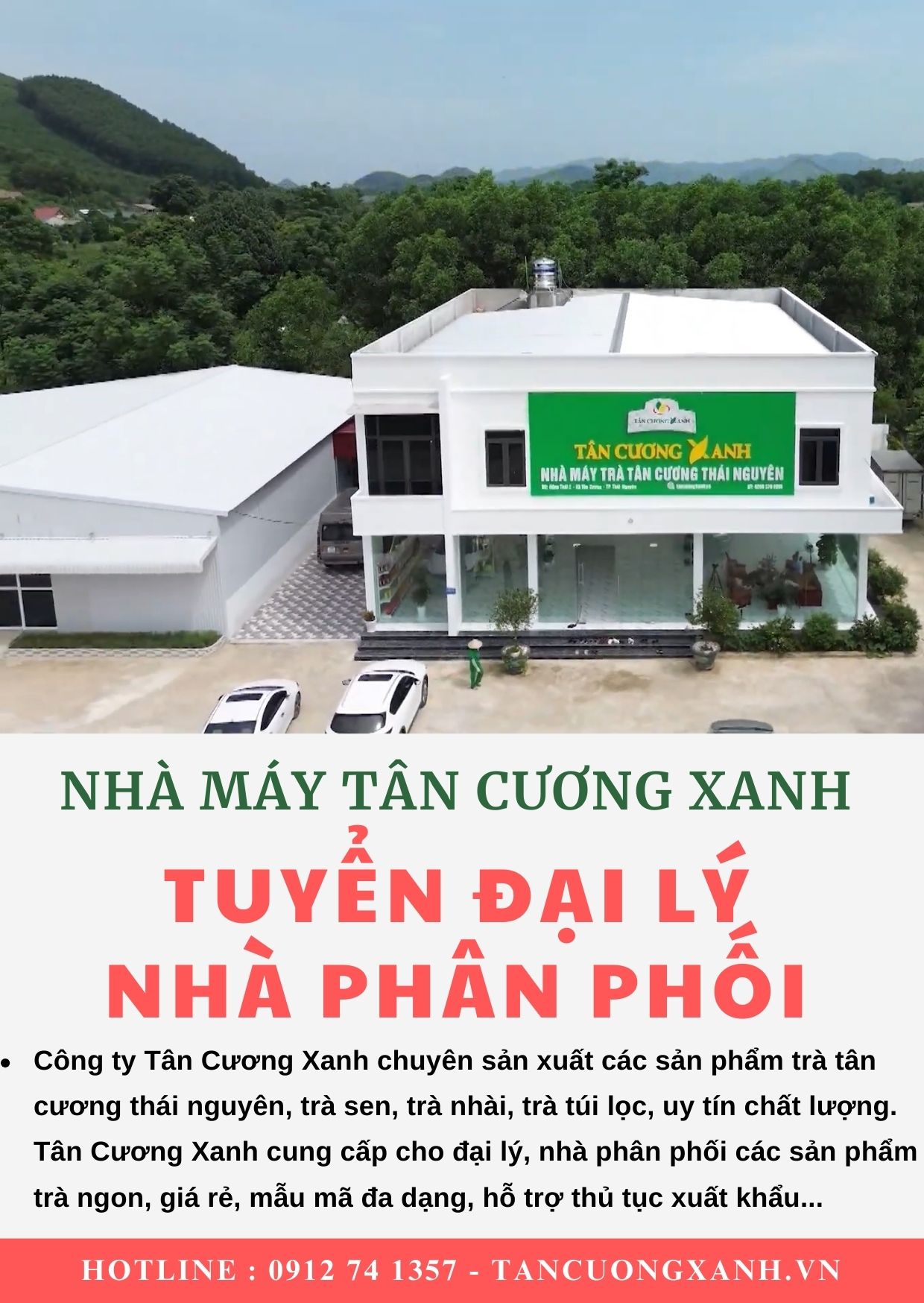 Trà Tân Cương Thái Nguyên Thương Hiệu Tân Cương Xanh