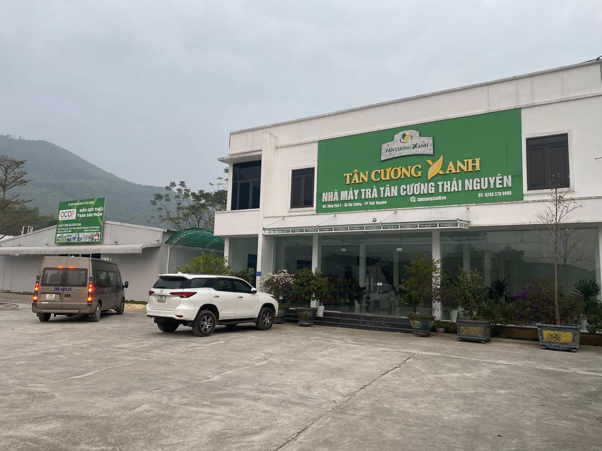 Trà Thái Nguyên – Đệ Nhất Danh Trà