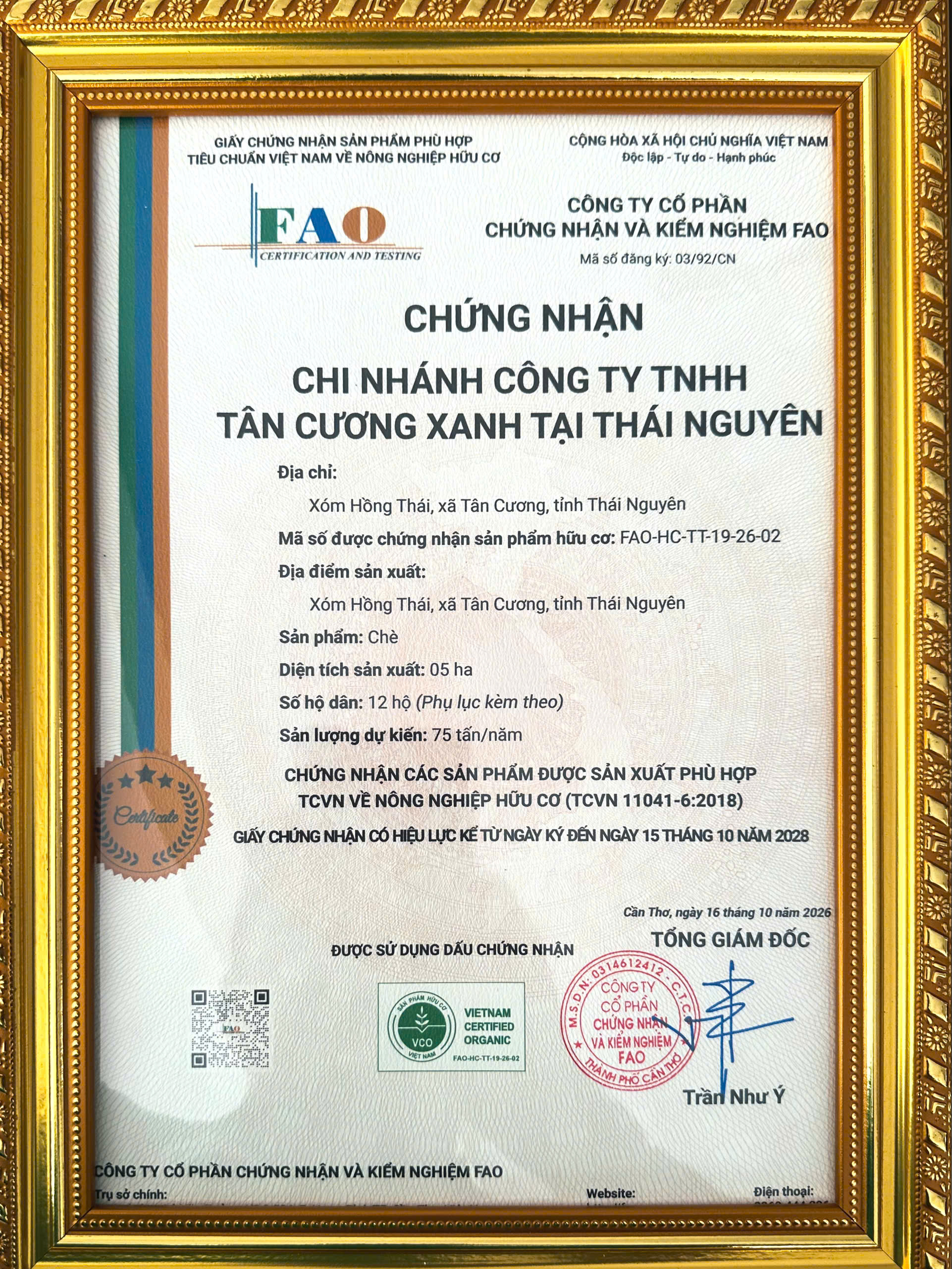 Trà Thái Nguyên hữu cơ Tân Cương Xanh: tiếp nối hành trình nông nghiệp xanh