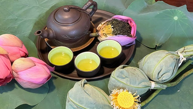 Trà ướp bông sen để được trong bao lâu? Thời điểm sử dụng trà cho hương vị tốt nhất