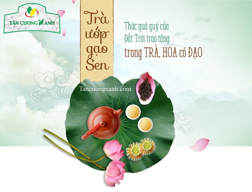 Uống trà tim sen đúng cách để cảm nhận trọn vẹn tinh hoa văn hóa Việt 