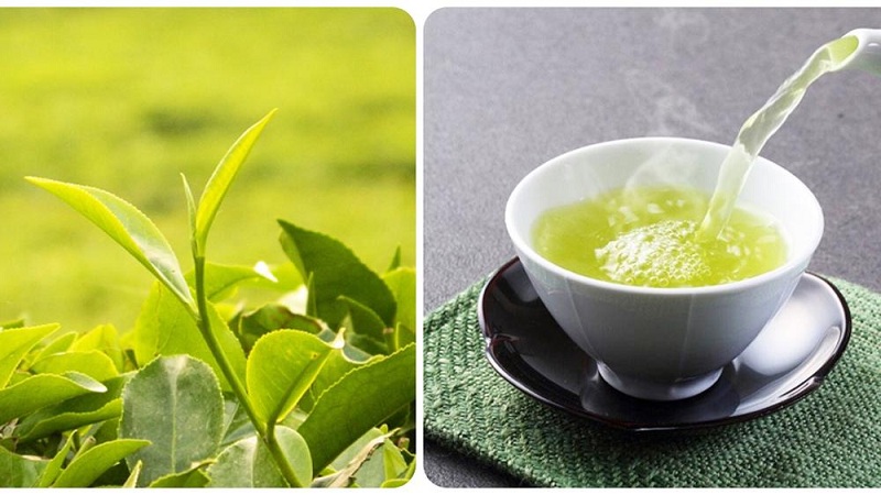 Vì sao trà xanh thượng hạng luôn được săn lùng trong các dịp lễ Tết?