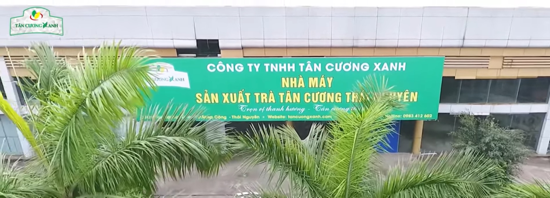 Trà Sen Túi Lọc 50g Trà Túi Lọc Ngon Nhất Việt Nam