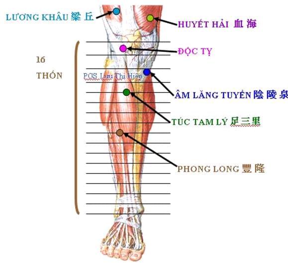 thoái hóa khớp khối 02
