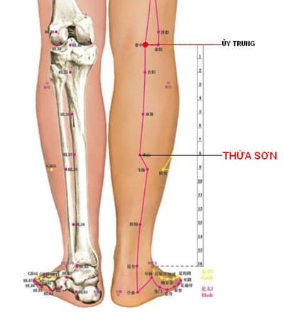 thoái hóa khớp khối 06