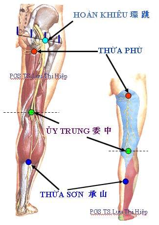 thoái hóa khớp khối 07