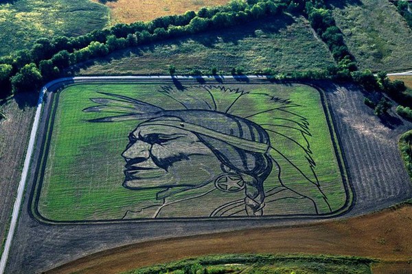 Hô biến cánh đồng thành những bức tranh khổng lồ