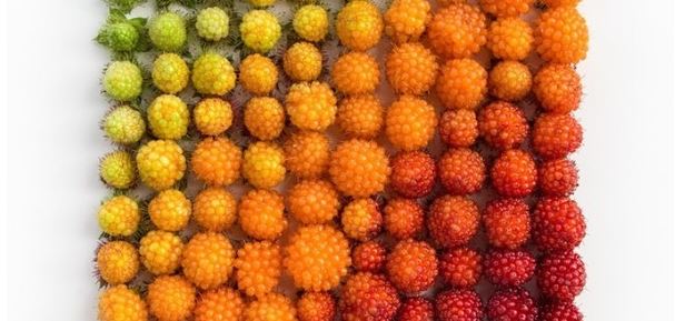 Mãn nhãn với bộ ảnh nghệ thuật của sự sắp đặt đầy màu sắc