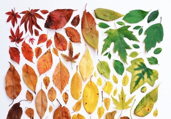 Mãn nhãn với bộ ảnh nghệ thuật của sự sắp đặt đầy màu sắc