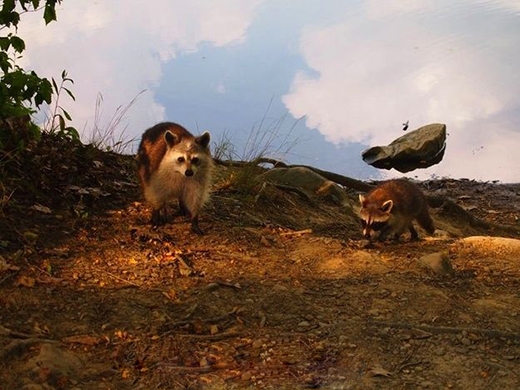 Chóng mặt với những bức ảnh 'hại não' nhất quả đất