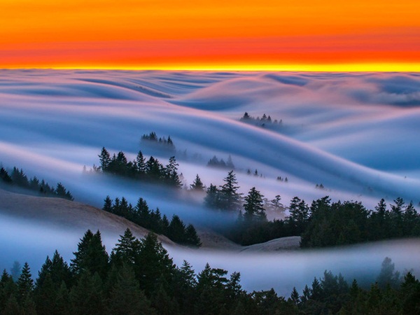 Bộ ảnh San Francisco huyền ảo giữa làn sương mù