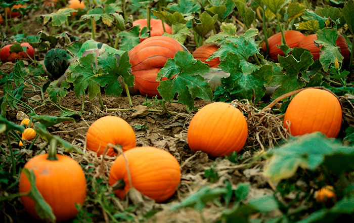 Bạn có thể tìm được diễn viên khỏa thân trong 12 bức hình dưới đây?