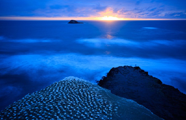 Sức mạnh của đường nét