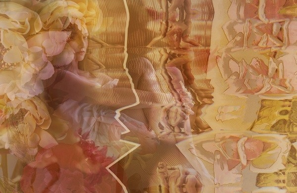 Vẻ đẹp người phụ nữ qua chùm ảnh hoa lá 