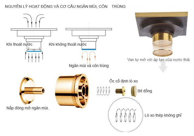 Thiết bị thoát nước HD001