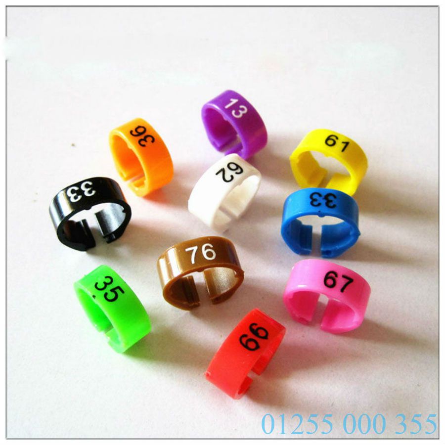 Vòng đeo chân bồ câu