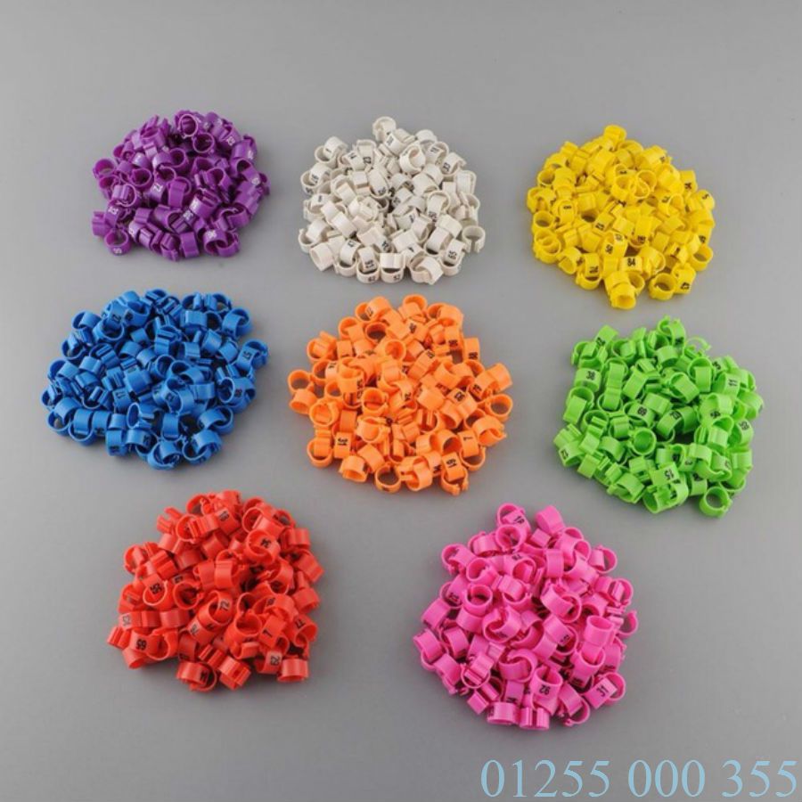 vòng đeo chân chim bồ câu