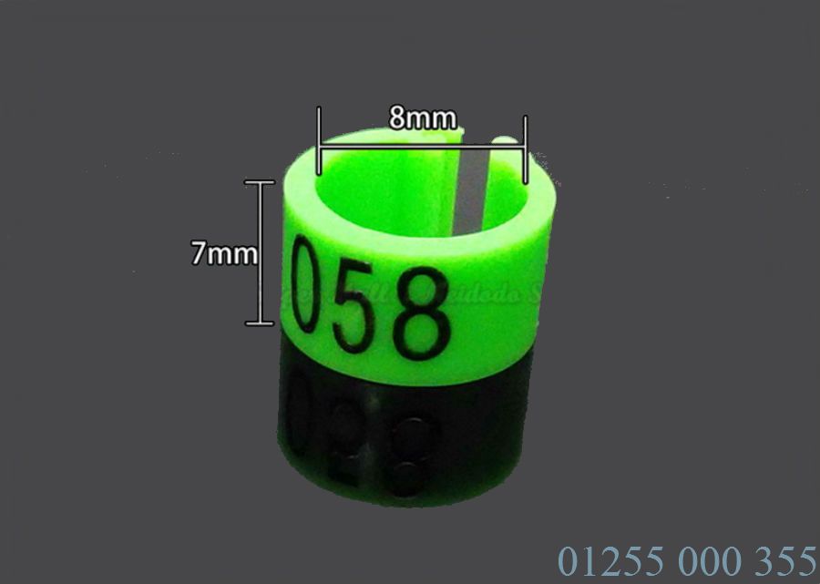 vòng đeo chân chim bồ câu